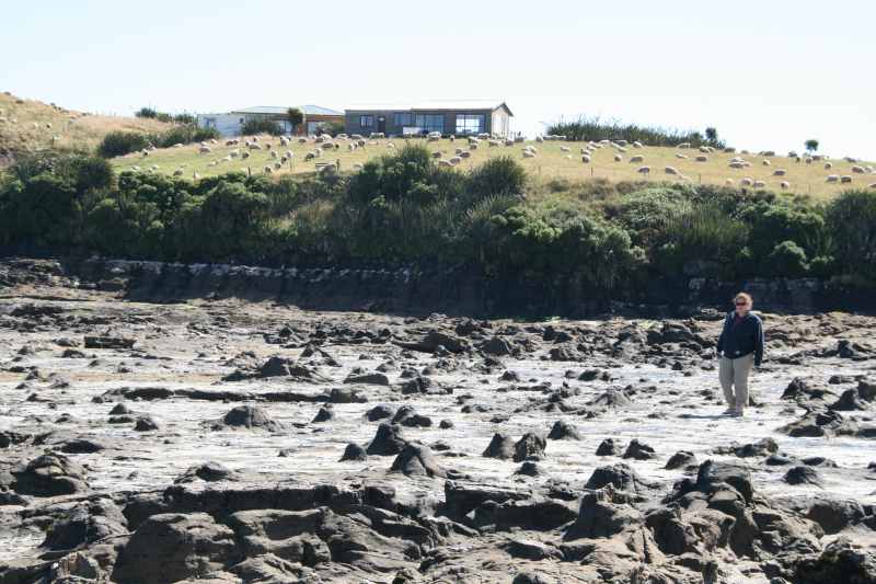 Nieuw-Zeeland 2011 - 1818